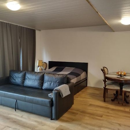 Spacieux Studio 38M2 Les Paccots Exterior foto