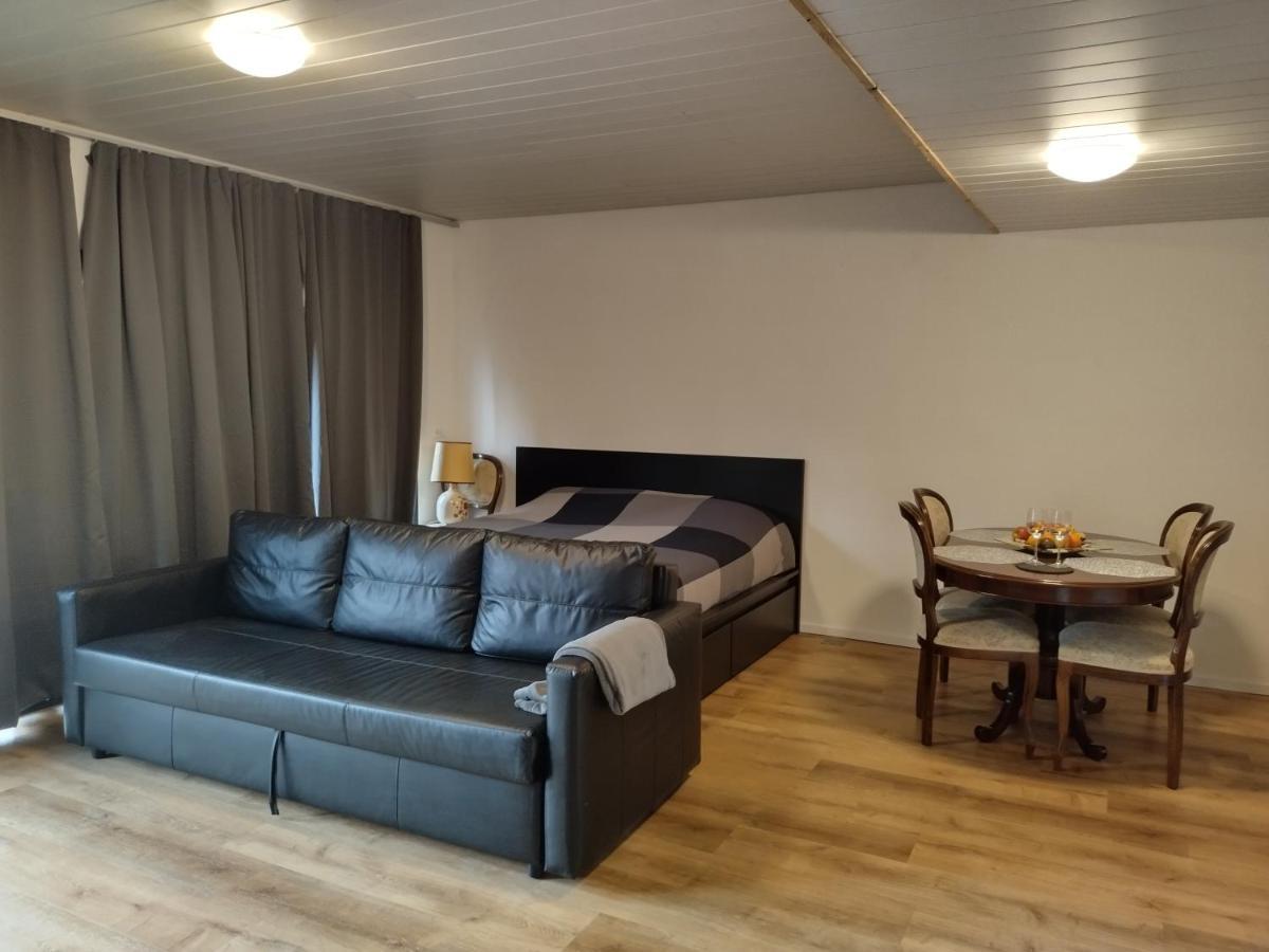 Spacieux Studio 38M2 Les Paccots Exterior foto